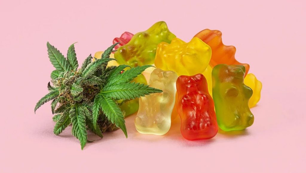 Gummy Bears 1